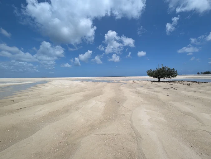 Kanga Beach Paradise gallery image 12